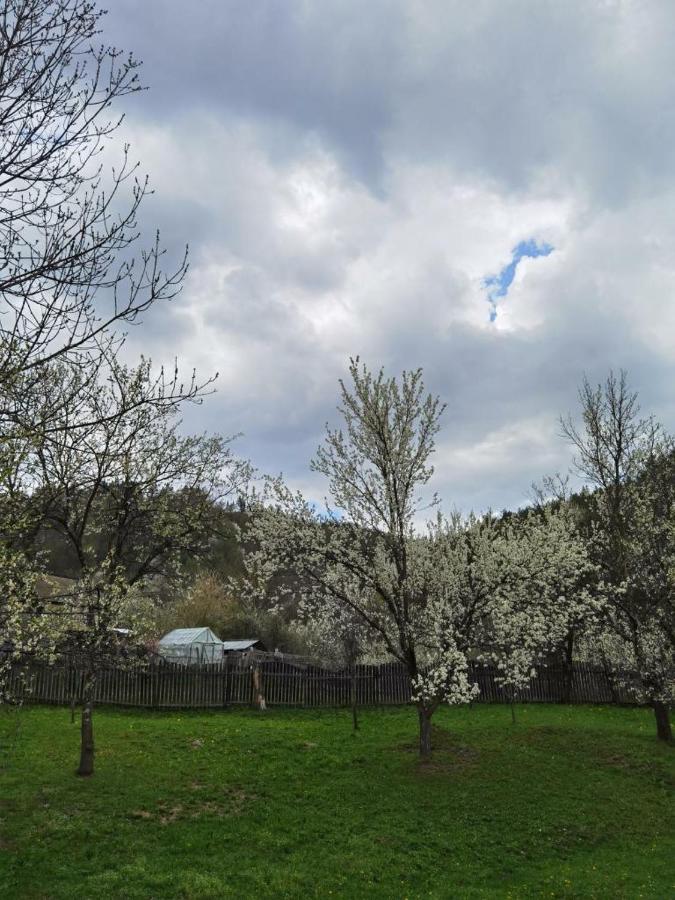 Magic Rooms Gura Teghii Kültér fotó